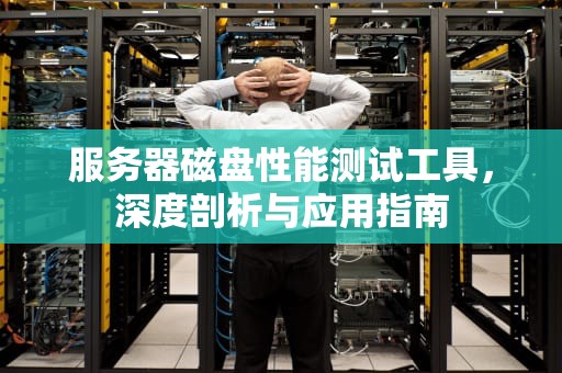 服务器磁盘性能测试工具，深度剖析与应用指南