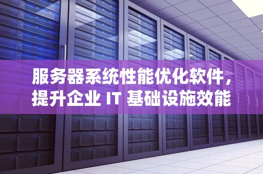 服务器系统性能优化软件，提升企业 IT 基础设施效能的利器