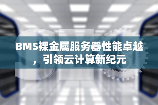 BMS裸金属服务器性能卓越，引领云计算新纪元