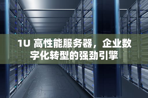 1U 高性能服务器，企业数字化转型的强劲引擎