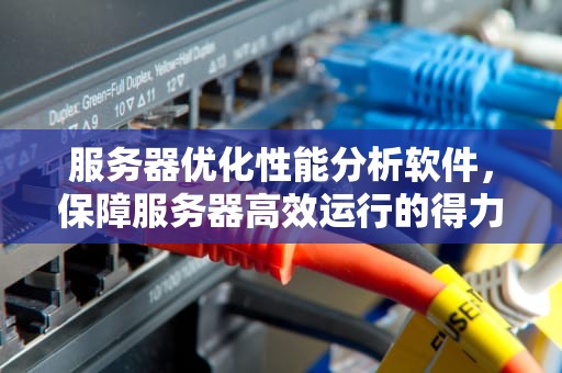 服务器优化性能分析软件，保障服务器高效运行的得力助手