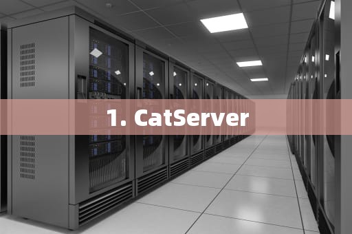 1. CatServer