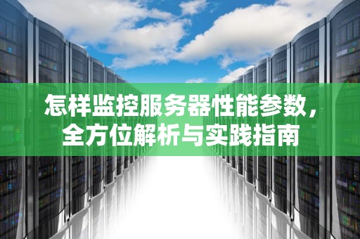 怎样监控服务器性能参数，全方位解析与实践指南