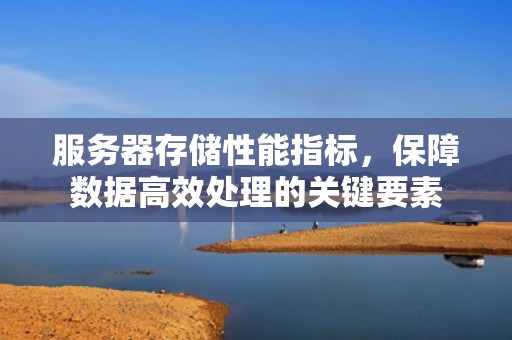 服务器存储性能指标，保障数据高效处理的关键要素
