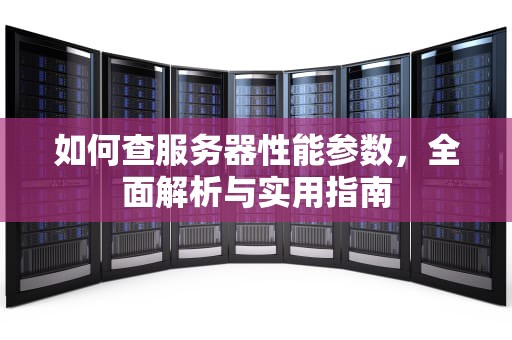 如何查服务器性能参数，全面解析与实用指南