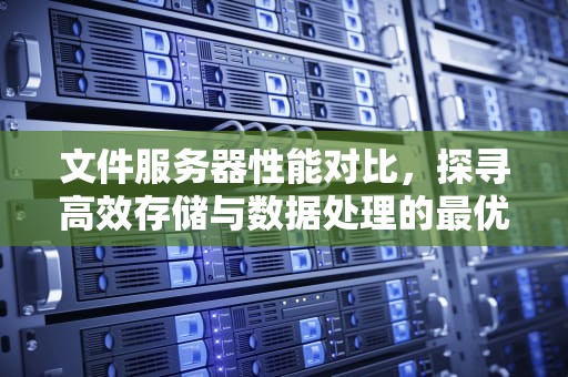 文件服务器性能对比，探寻高效存储与数据处理的最优解