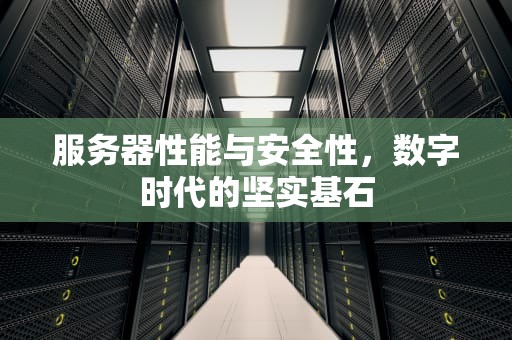 服务器性能与安全性，数字时代的坚实基石