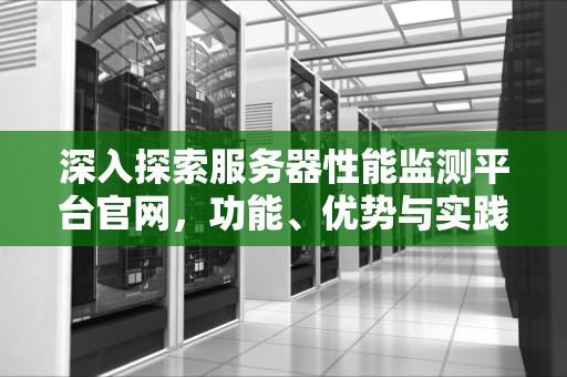 深入探索服务器性能监测平台官网，功能、优势与实践应用