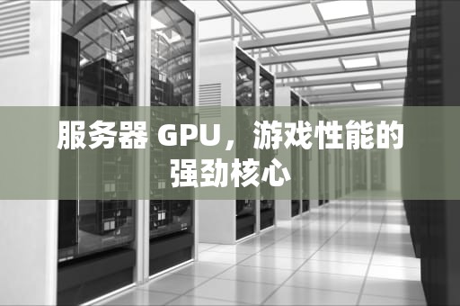 服务器 GPU，游戏性能的强劲核心