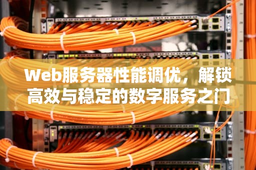 Web服务器性能调优，解锁高效与稳定的数字服务之门