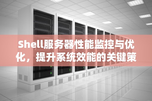 Shell服务器性能监控与优化，提升系统效能的关键策略