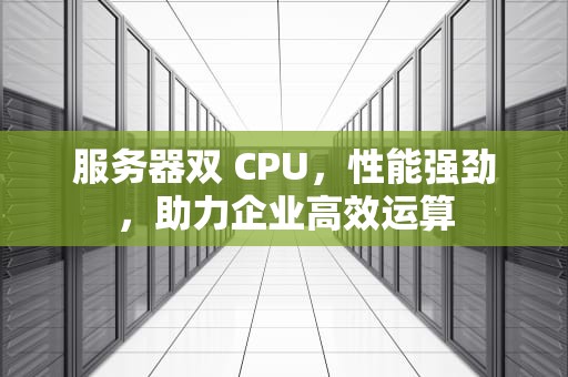 服务器双 CPU，性能强劲，助力企业高效运算