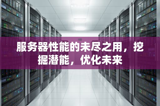 服务器性能的未尽之用，挖掘潜能，优化未来