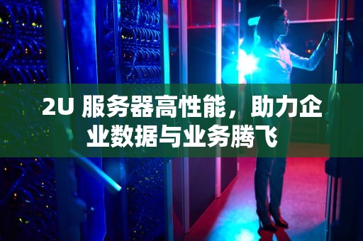 2U 服务器高性能，助力企业数据与业务腾飞