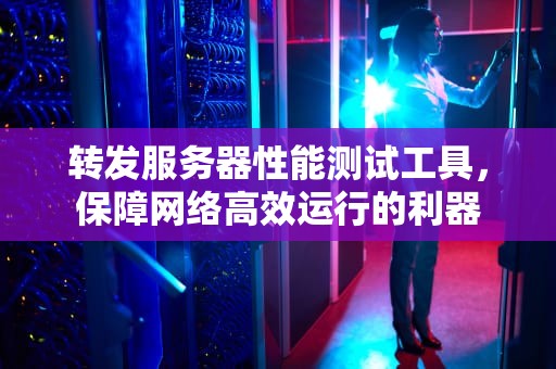 转发服务器性能测试工具，保障网络高效运行的利器