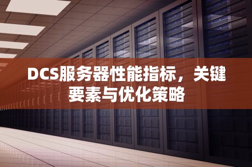 DCS服务器性能指标，关键要素与优化策略