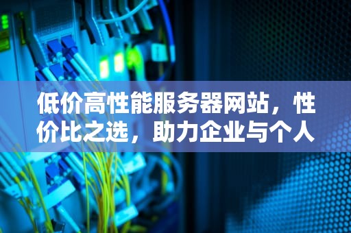 低价高性能服务器网站，性价比之选，助力企业与个人腾飞