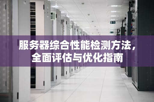 服务器综合性能检测方法，全面评估与优化指南