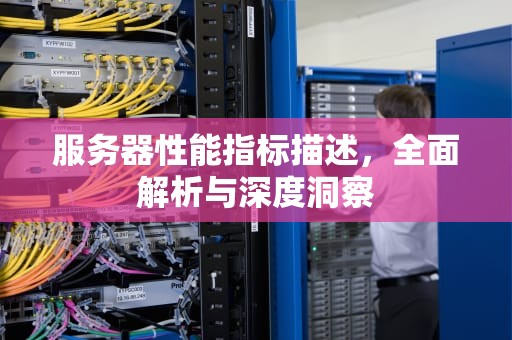 服务器性能指标描述，全面解析与深度洞察