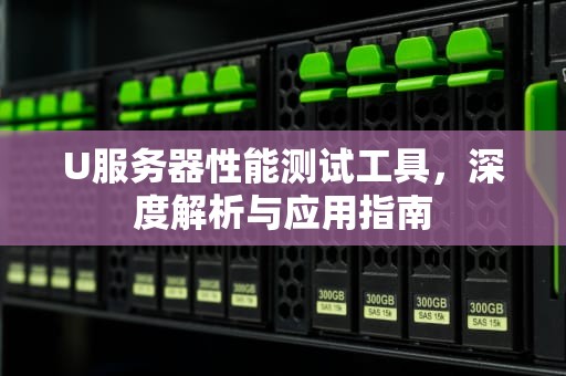 U服务器性能测试工具，深度解析与应用指南