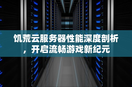 饥荒云服务器性能深度剖析，开启流畅游戏新纪元