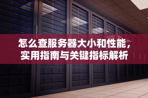 怎么查服务器大小和性能，实用指南与关键指标解析