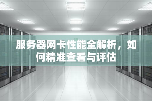 服务器网卡性能全解析，如何精准查看与评估