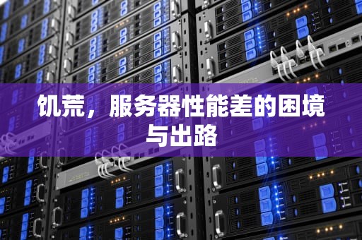饥荒，服务器性能差的困境与出路