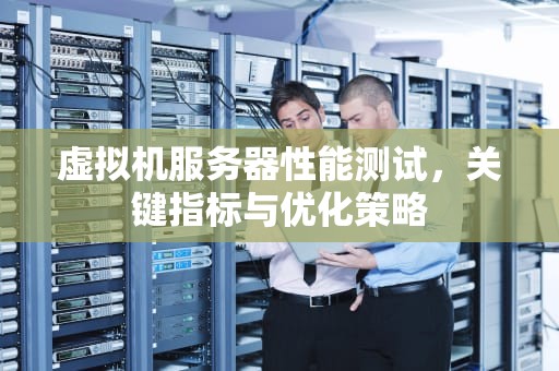虚拟机服务器性能测试，关键指标与优化策略