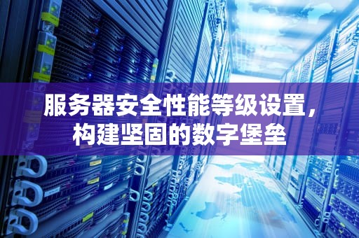 服务器安全性能等级设置，构建坚固的数字堡垒