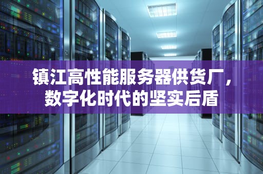 镇江高性能服务器供货厂，数字化时代的坚实后盾