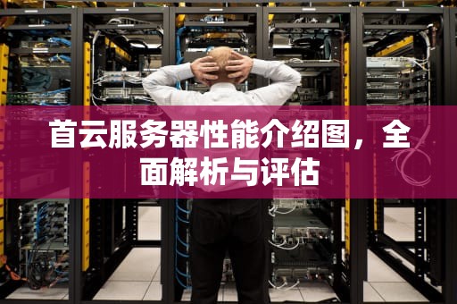 首云服务器性能介绍图，全面解析与评估