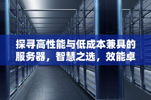 探寻高性能与低成本兼具的服务器，智慧之选，效能卓越