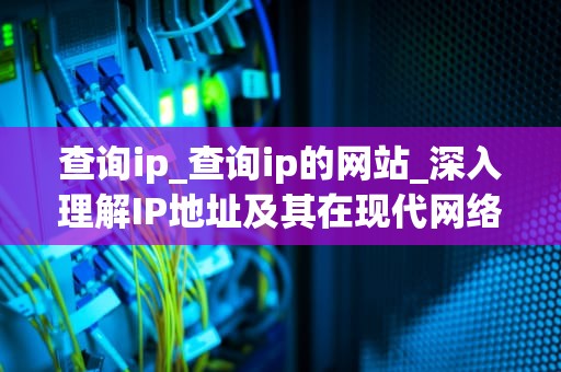 查询ip_查询ip的网站_深入理解IP地址及其在现代网络中的重要性