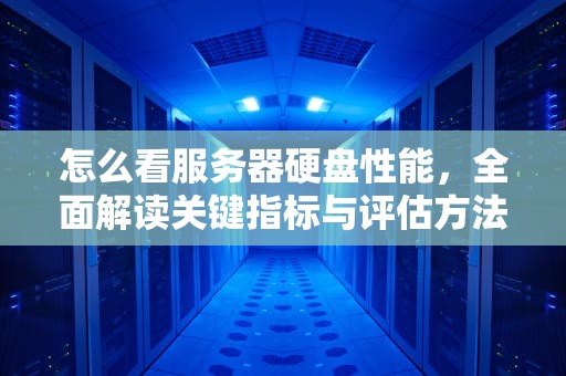 怎么看服务器硬盘性能，全面解读关键指标与评估方法