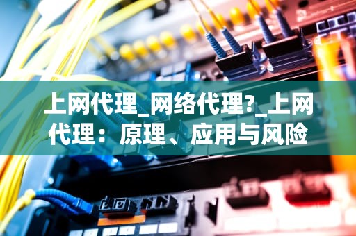 上网代理_网络代理?_上网代理：原理、应用与风险
