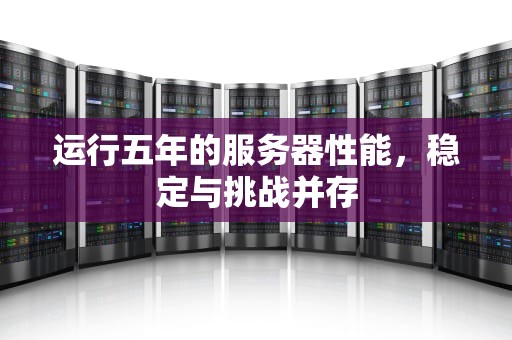 运行五年的服务器性能，稳定与挑战并存
