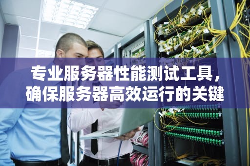 专业服务器性能测试工具，确保服务器高效运行的关键