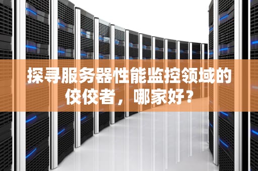 探寻服务器性能监控领域的佼佼者，哪家好？