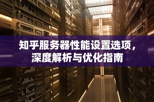 知乎服务器性能设置选项，深度解析与优化指南