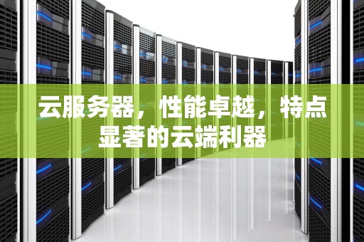 云服务器，性能卓越，特点显著的云端利器