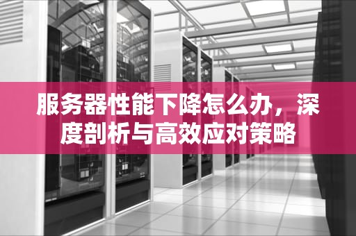 服务器性能下降怎么办，深度剖析与高效应对策略