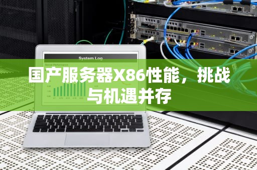 国产服务器X86性能，挑战与机遇并存