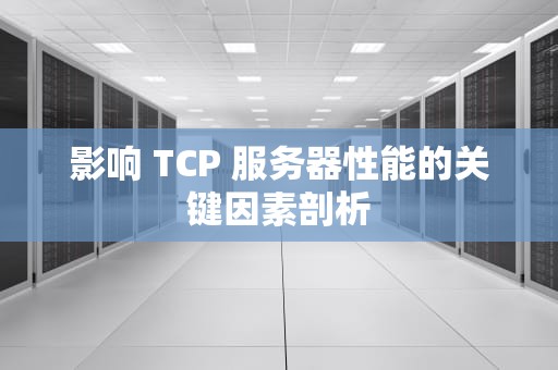 影响 TCP 服务器性能的关键因素剖析