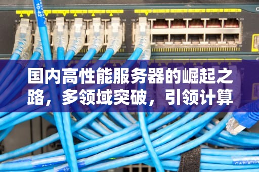国内高性能服务器的崛起之路，多领域突破，引领计算新时代