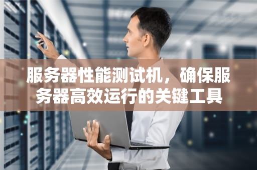 服务器性能测试机，确保服务器高效运行的关键工具