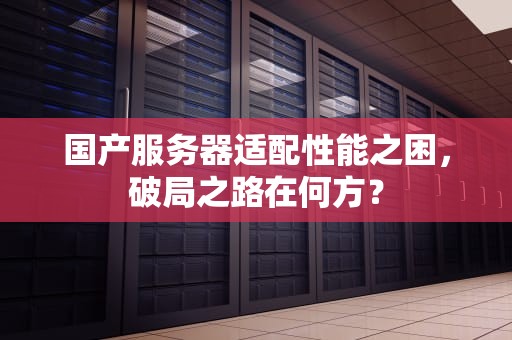 国产服务器适配性能之困，破局之路在何方？