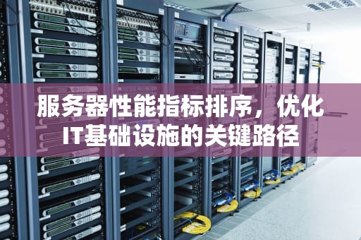 服务器性能指标排序，优化IT基础设施的关键路径