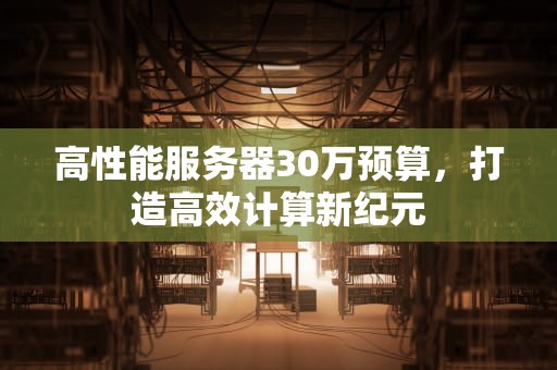 高性能服务器30万预算，打造高效计算新纪元
