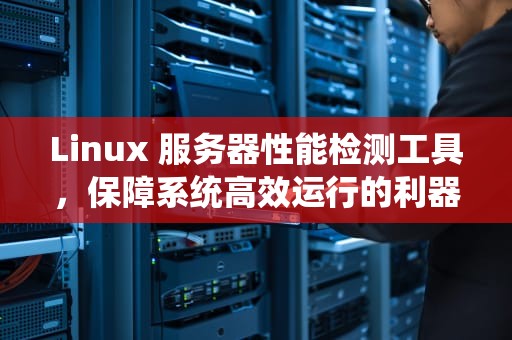 Linux 服务器性能检测工具，保障系统高效运行的利器